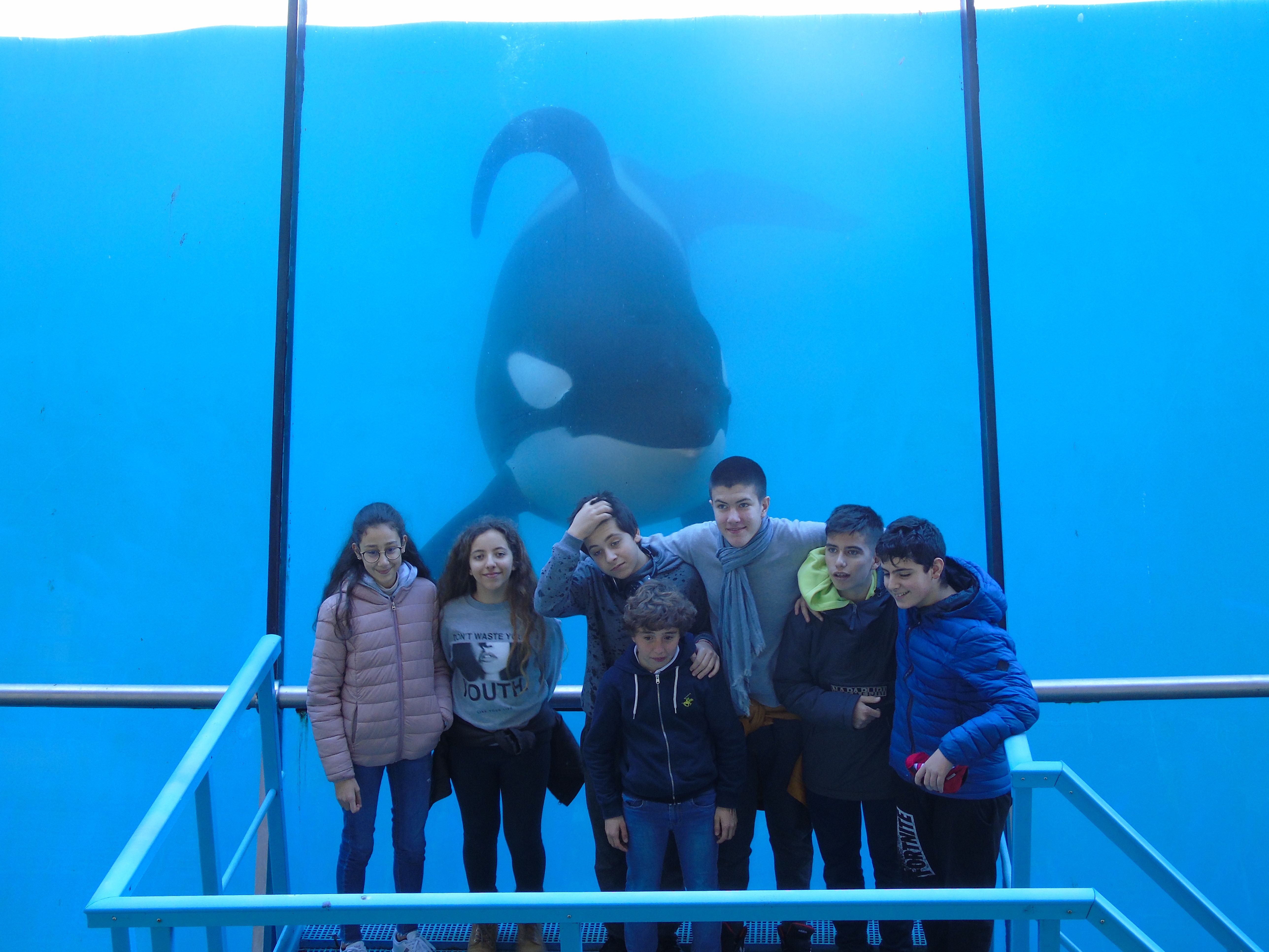 Marineland 2019